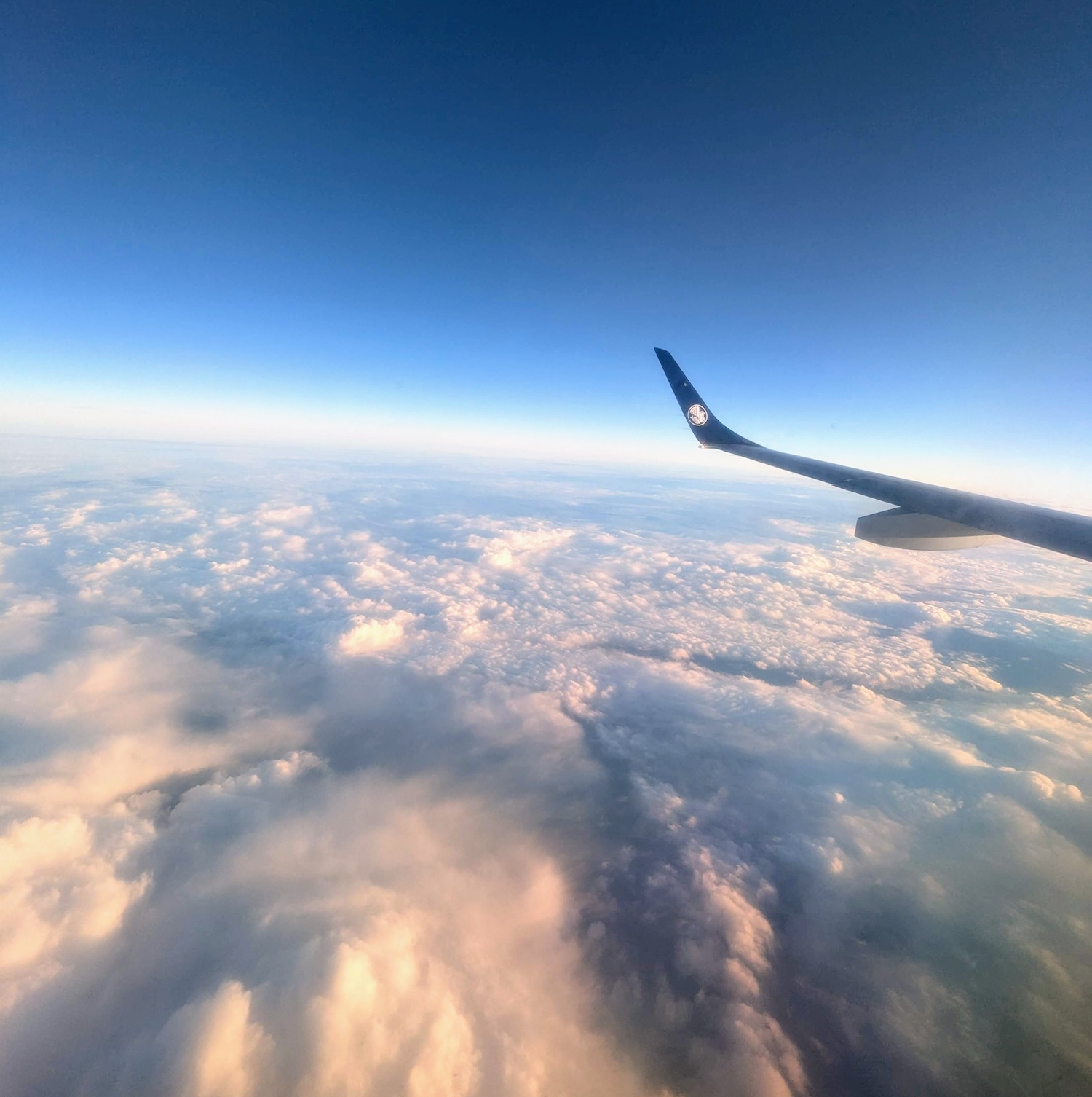 flight views