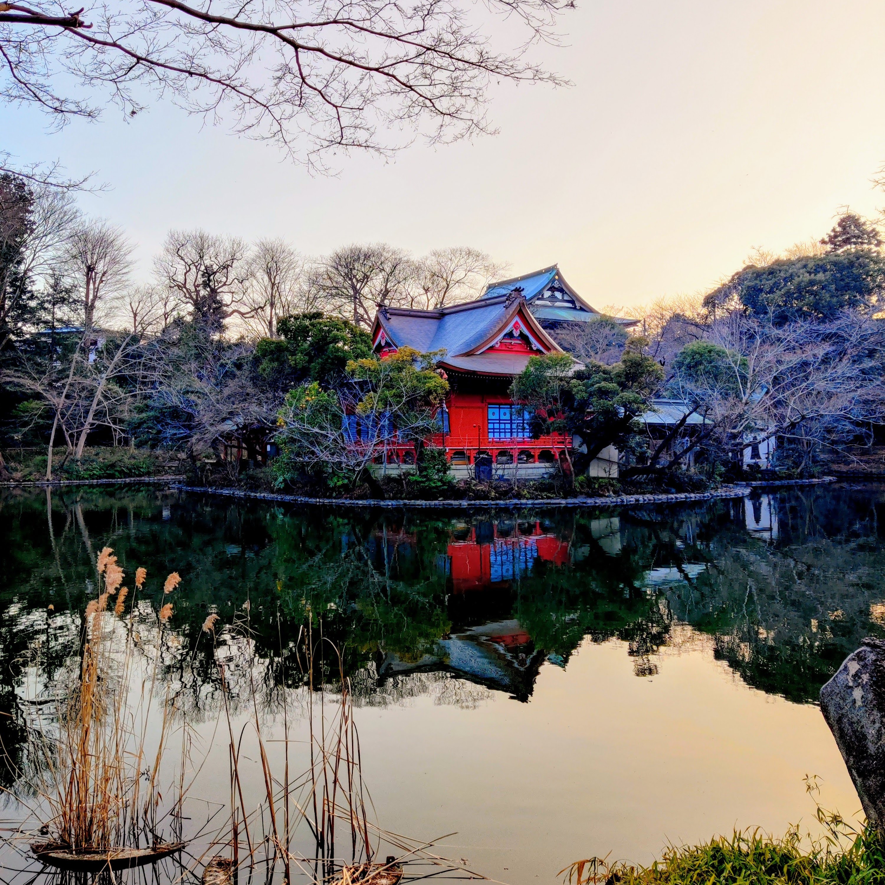 井の頭公園