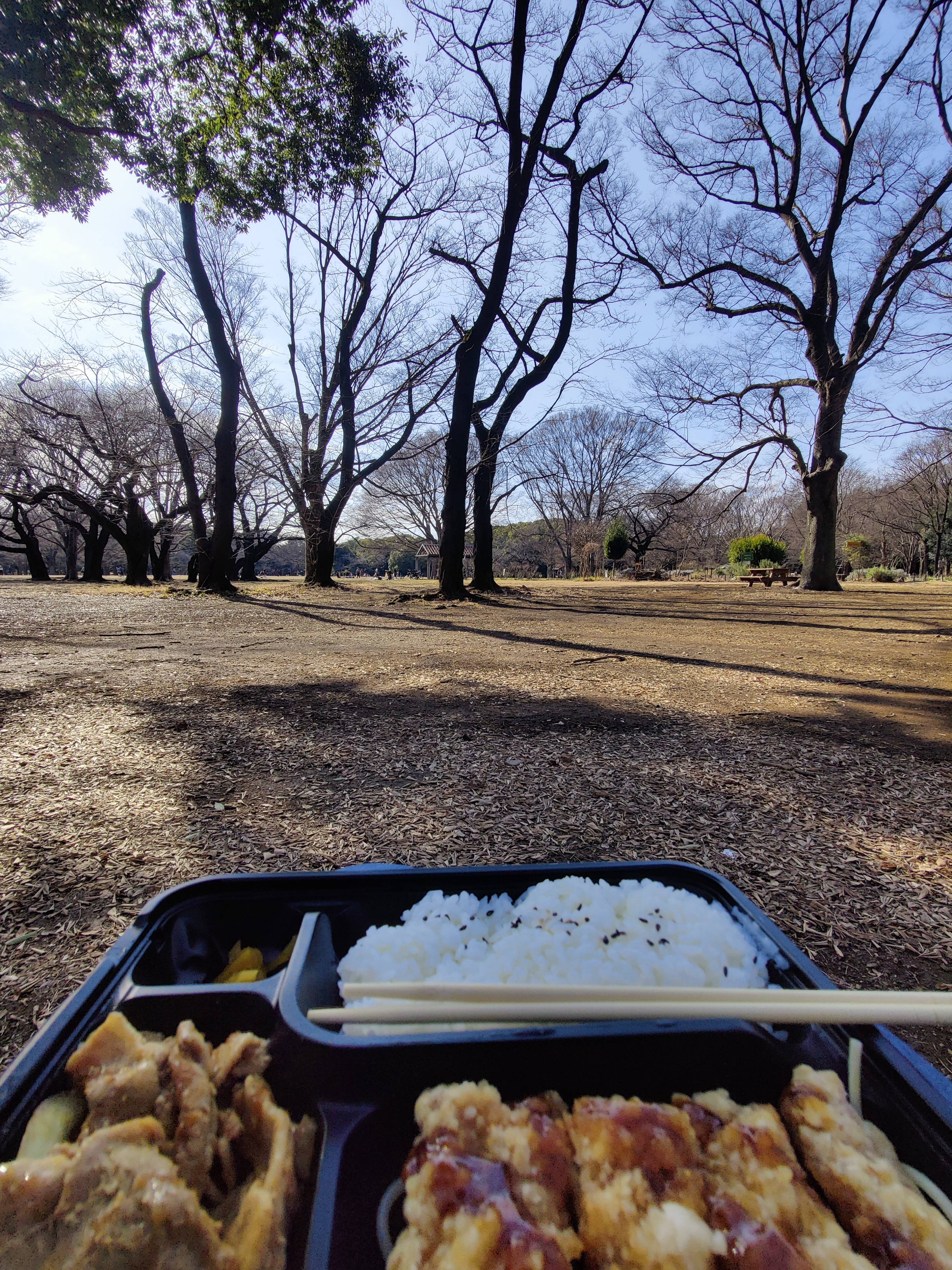 チキン唐揚げと牛肉とご飯