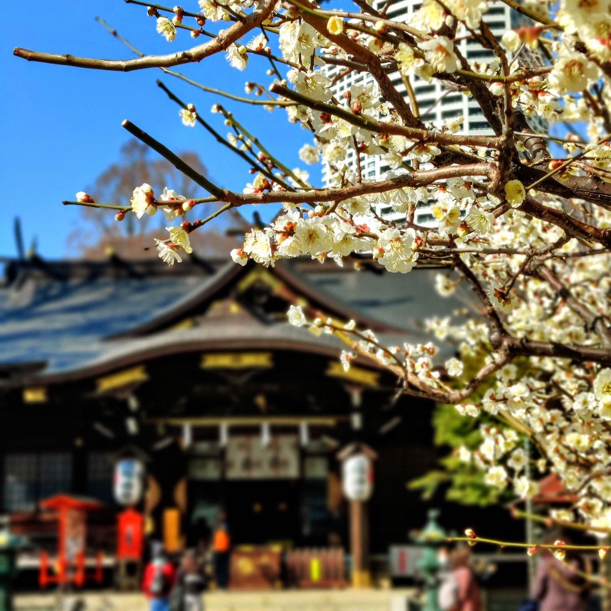 Shrine